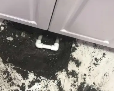 伊犁哈萨克查漏水哪家好